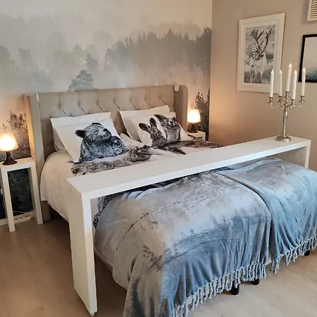 Winter Woods Family Homestay Rovaniemi