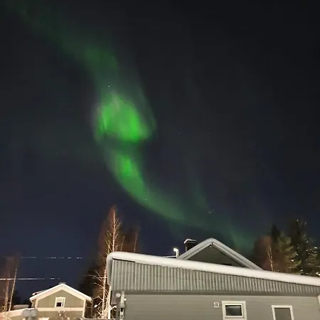 Winter Woods Family Rovaniemi