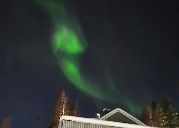 Winter Woods Family Ροβανιέμι