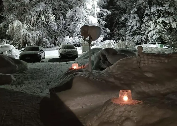 Δωμάτια σε οικογενειακή κατοικία Winter Woods Family *